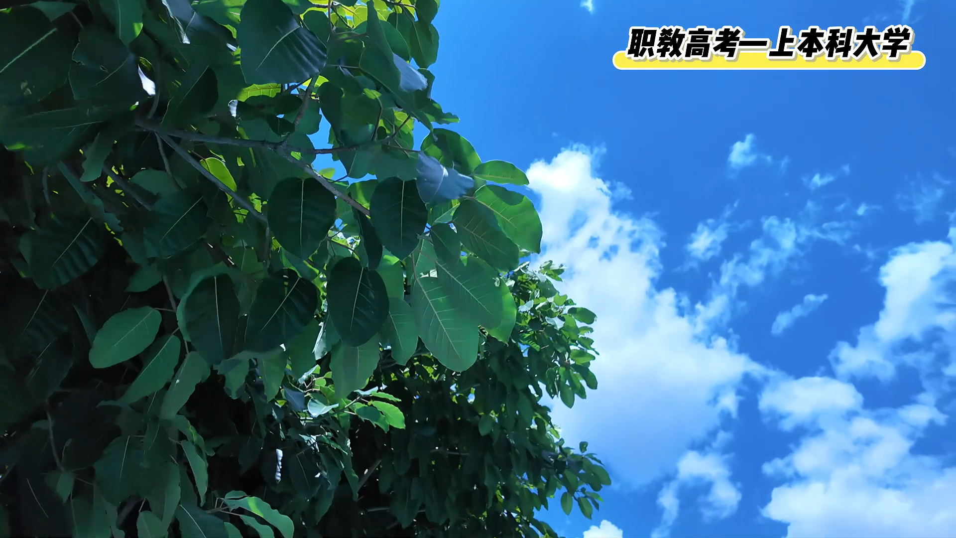分数不该是梦想的终点