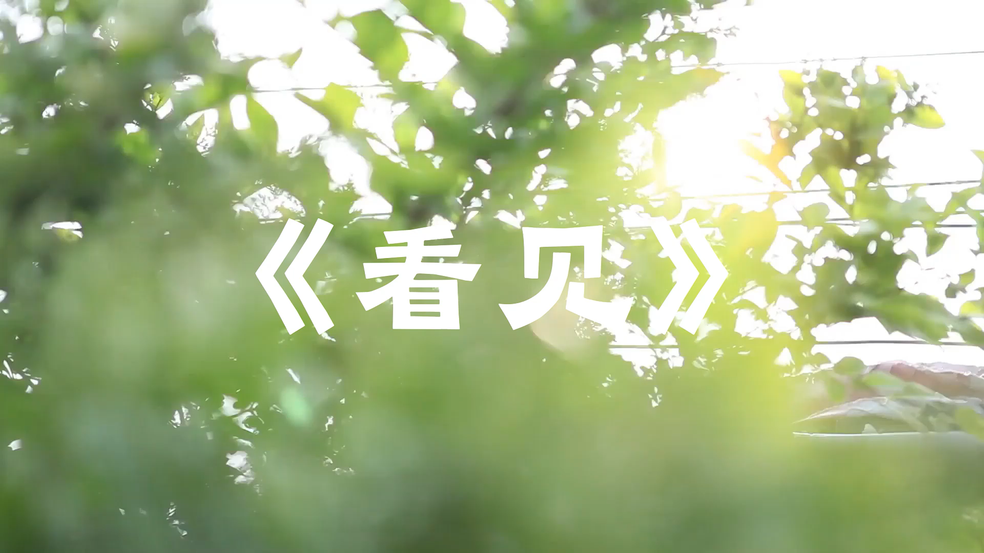 《看见》我们的教育